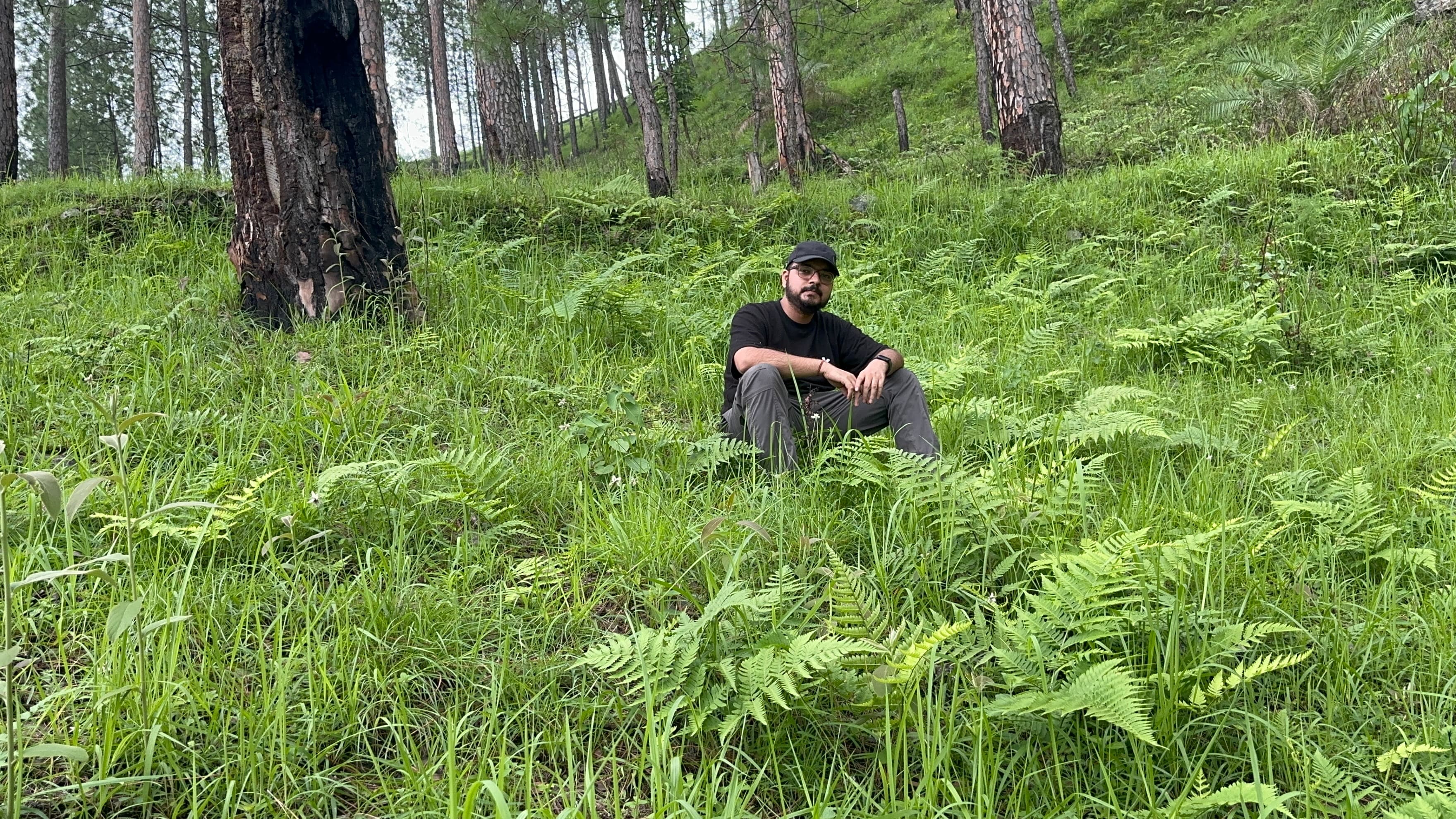 Me sitting among ferns in a quiet pine forest