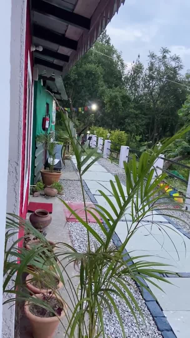A quiet green morning at our Bhimtal stay