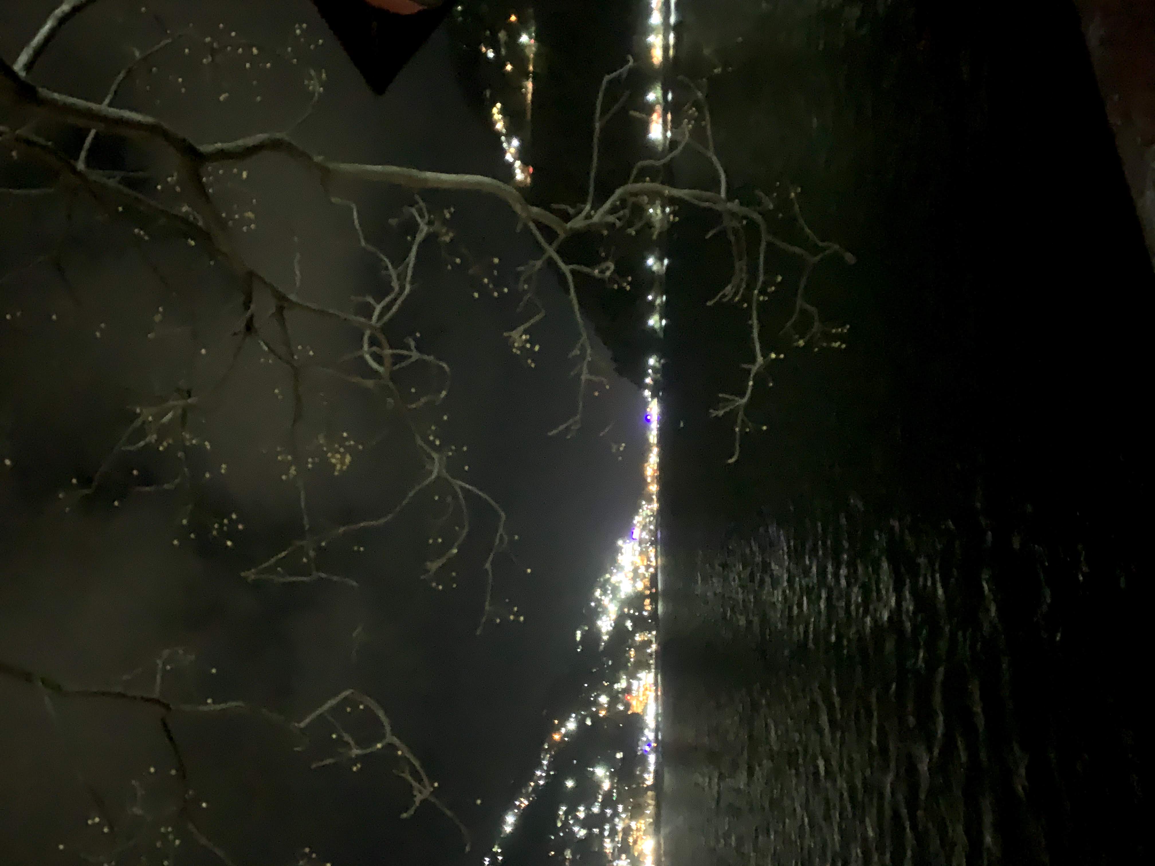 Naini Lake glowing at night as seen from Mallital