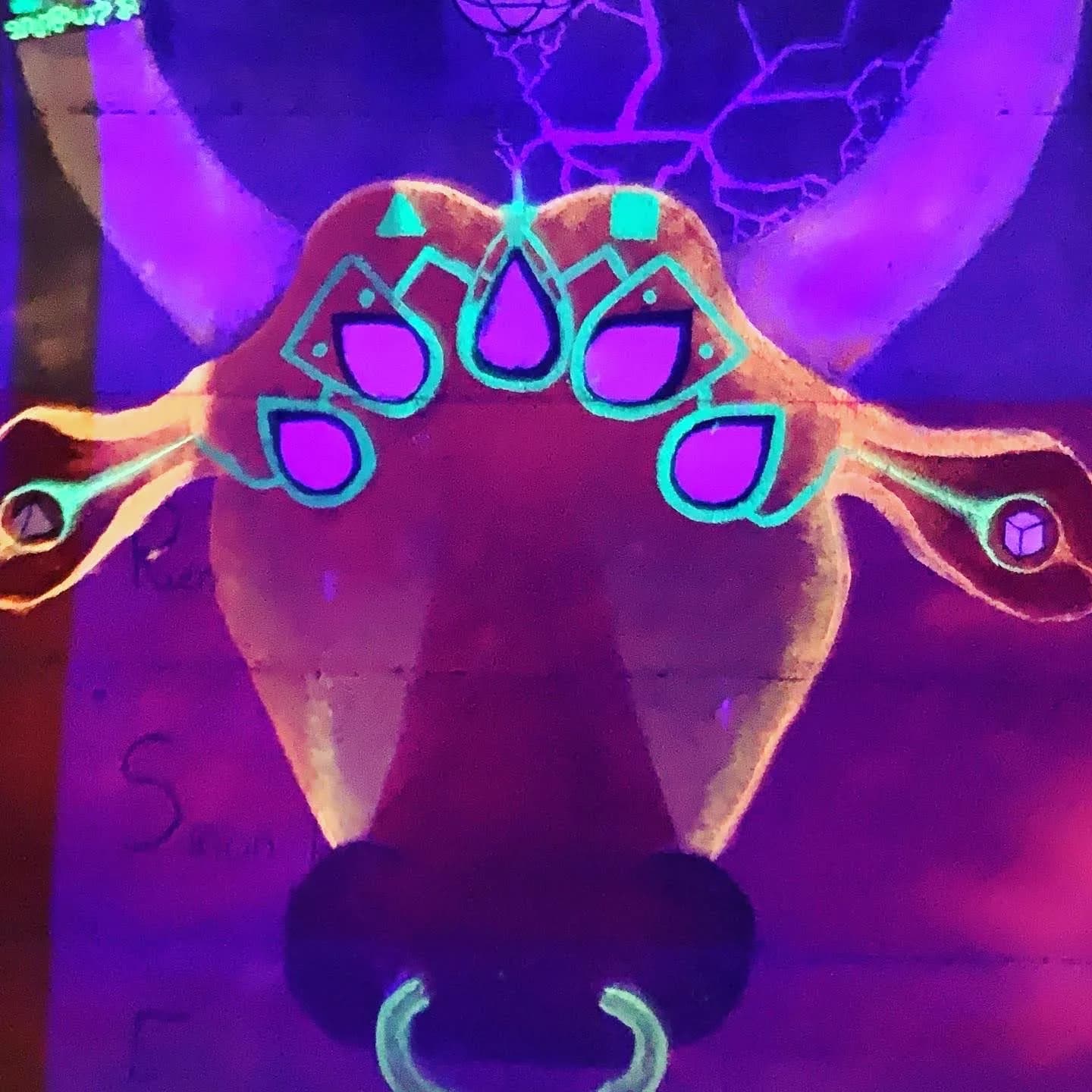 Colourful psychedelic wall art photographed in Auroville